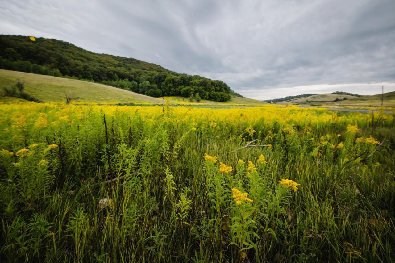 Vidéki vendégház a Bükkben, pezsgőfürdővel. Királd Esterno foto